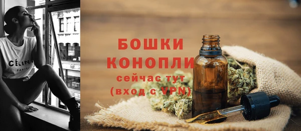 сатива Абдулино