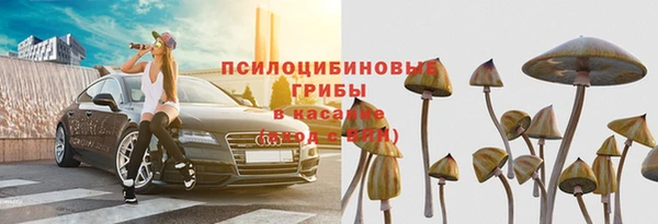 ECSTASY Абинск