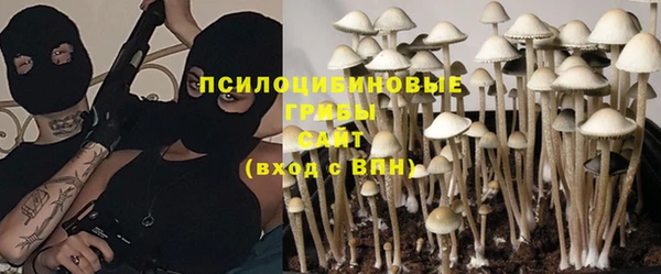 сатива Абдулино