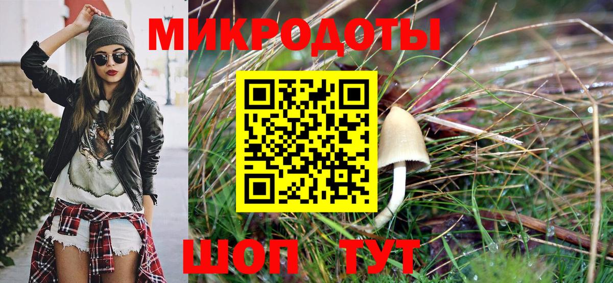 Ялуторовск  Галлюциногенные грибы прущие грибы  Вход с VPN  Галлюциногенные грибы мухоморы 